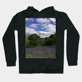 Bluebells landscape Hoodie